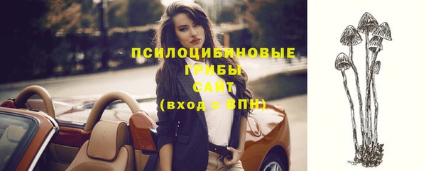 mix Протвино