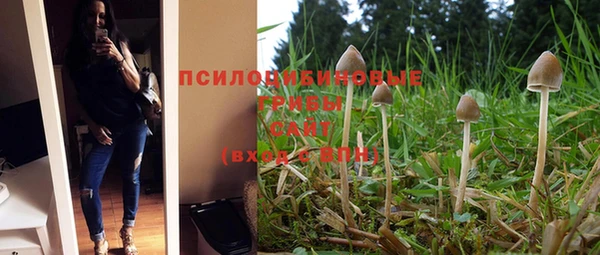 МДПВ Пролетарск